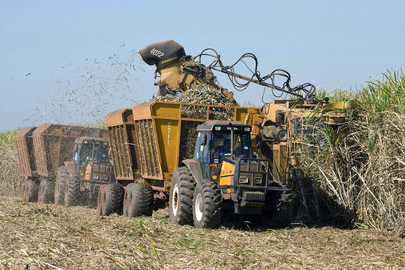 Sugar Cane Harvesting Machine in Brazil