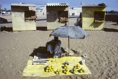 Food Shortages in the Midst of Plenty